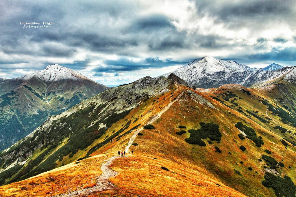Viva Maria Apartamenty Zakopane Exterior foto